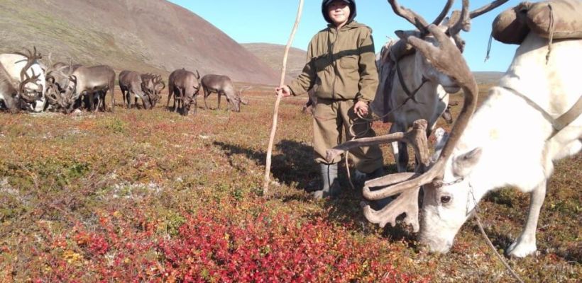 Перевозка детей оленеводов из оленеводческих стад в село Кюсюр прошла на вертолёте