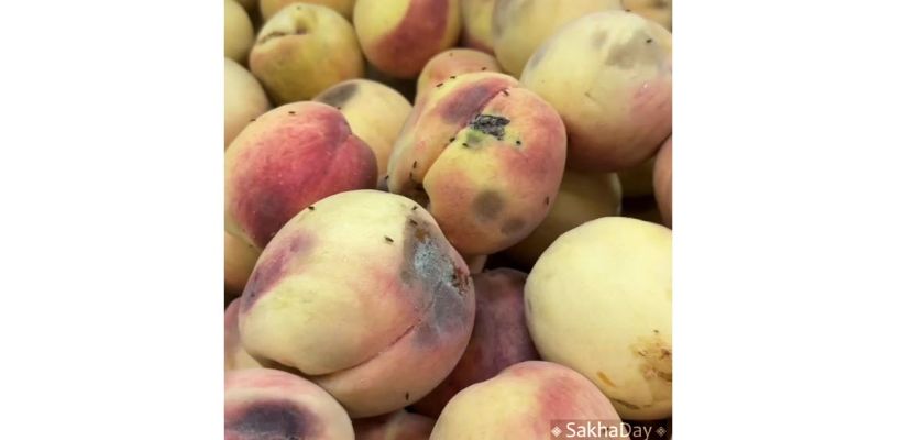 Персики с плесенью, гнилые перцы и испорченные дыни. Что продают жителям Нижнего Бестяха в популярном маркете?