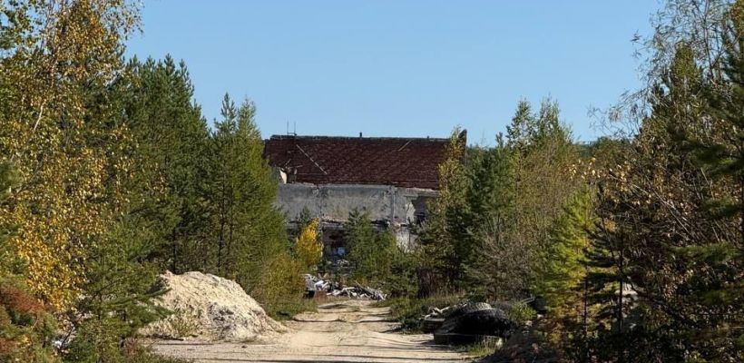 Медведя, замеченного близ Якутска, решили не отстреливать