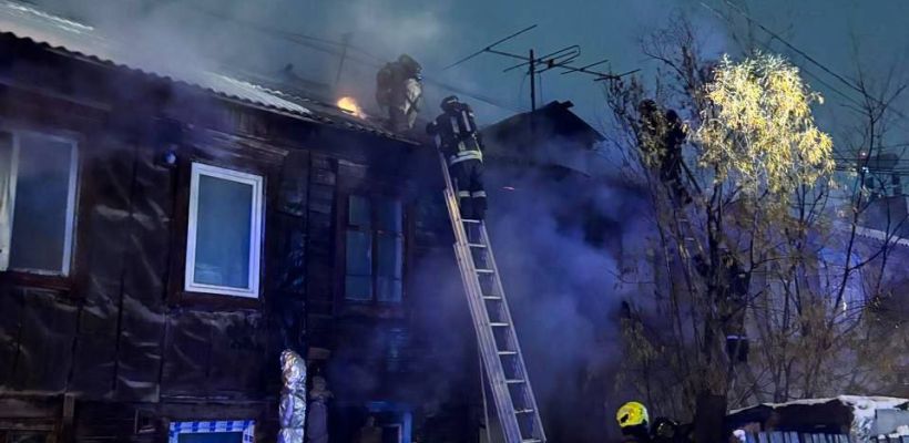 В Якутске 5 кошек погибли во время пожара