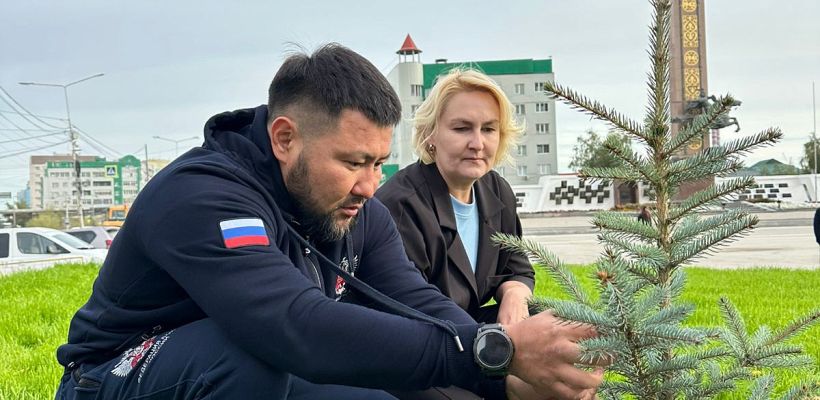 Голубые ели высадили на площади Победы в Якутске