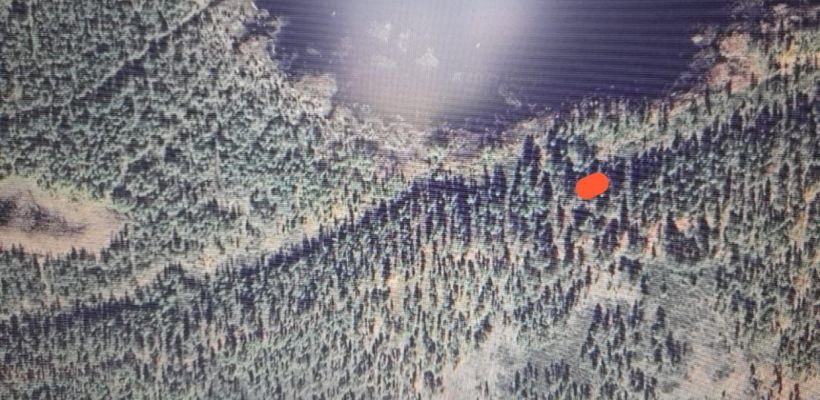 Верхоянские бульдозеристы нашли древнее захоронение с конем