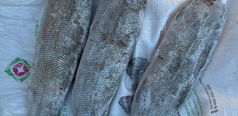 В Якутии теплая погода может помешать подледной рыбалке