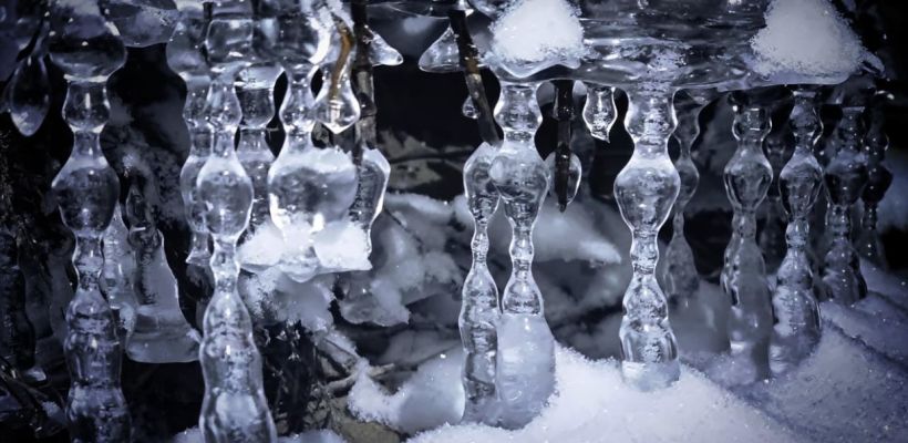 Причудливые "сережки" на дереве в Оймяконе