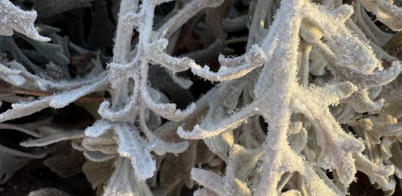 В Якутии ожидаются метели и усиление ветра до 32 м/с