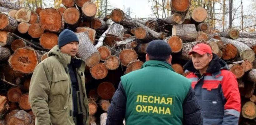 Минэкологии прокомментировало нарушения ООО «Восточное» в Алданском районе