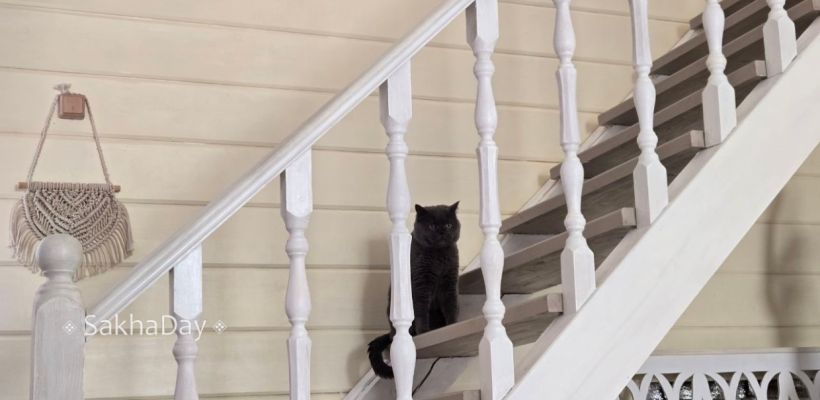 Сколько денег уходит на коммунальные платежи и интернет в Якутске?