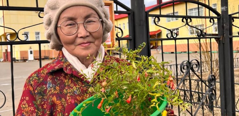 Фотофакт: В Якутии растут гранаты