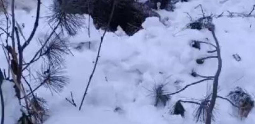 Медведь зашел в село Кыстатыам