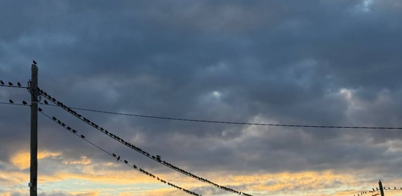 Прогноз погоды на октябрь от народного синоптика Тараса Тарасова –Тускула