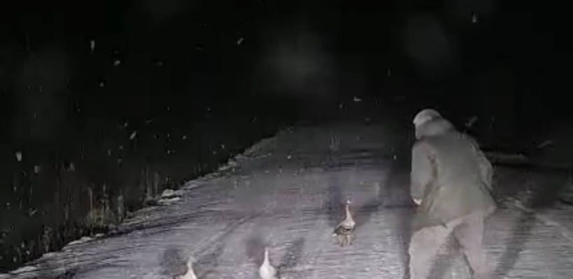 В Якутии проверяют факт браконьерства после публикации видео в соцсетях