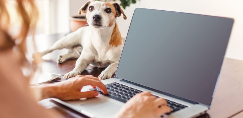 МТС подключила к гигабитному интернету ещё 4000 семей Якутска