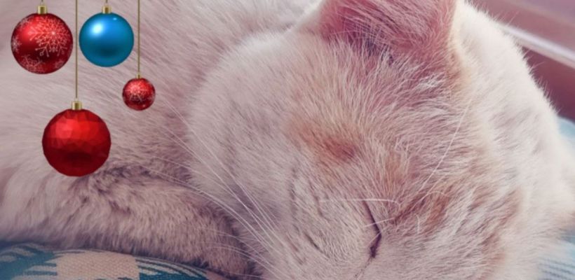 Предстоящие новогодние каникулы в России станут самыми длинными за 12 лет