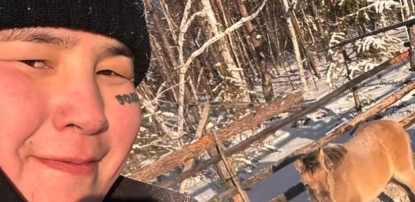 Певец Kithah занялся коневодством: «Я с детства люблю лошадей»