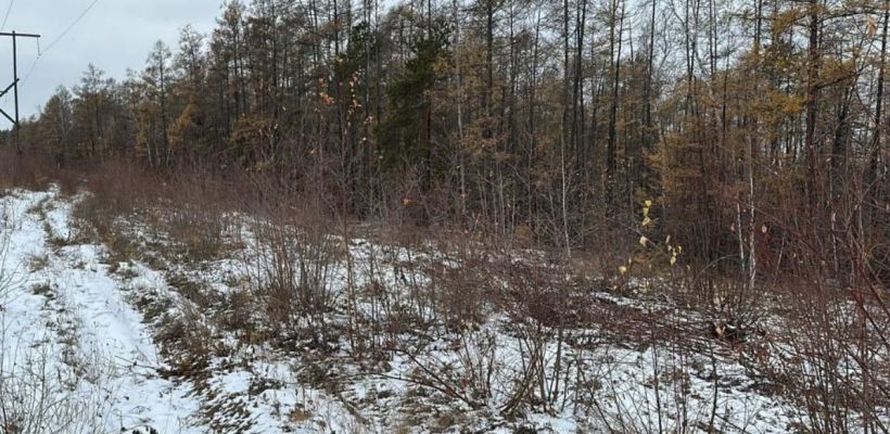 Нашли тело пропавшего в Верхневилюйском улусе охотника