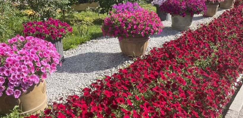 Почвы Якутска начнут удобрять хатасским компостом