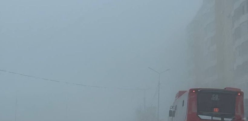 По ул. Петра Алексеева планируется запустить маршрут-дублер в помощь «пятёрке»