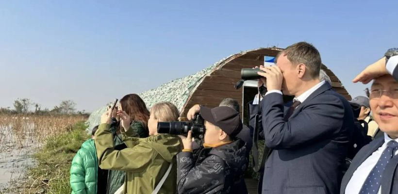 Делегация Якутии увидела, как зимуют стерхи в Китае