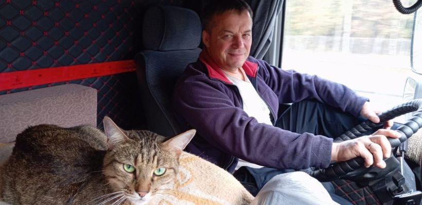 Как кот Федос выжил в поезде и вернулся домой через Якутию