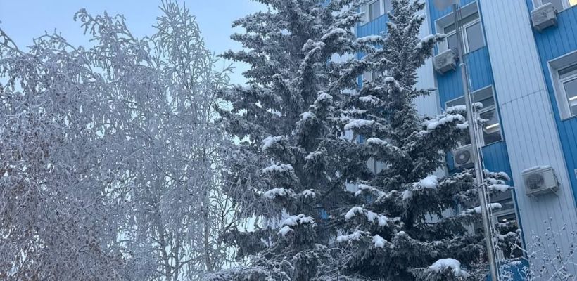 Прогноз от народного синоптика Тараса Тарасова - Тускула на январь 2026 года