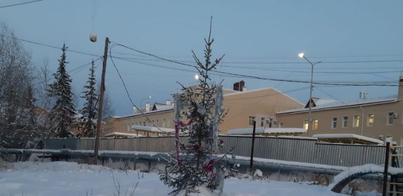Олекминск отметился печальными новогодними елками