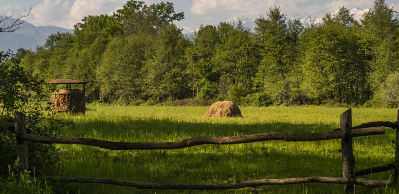 «Земским работникам культуры» в Якутии будут выплачивать до 2 миллионов рублей