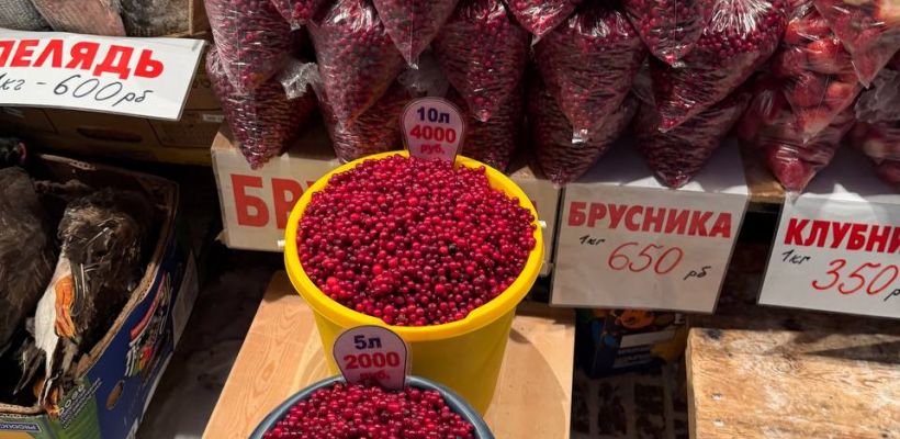 Обзор цен на рынке в Якутске: ягоды, рыба и дичь