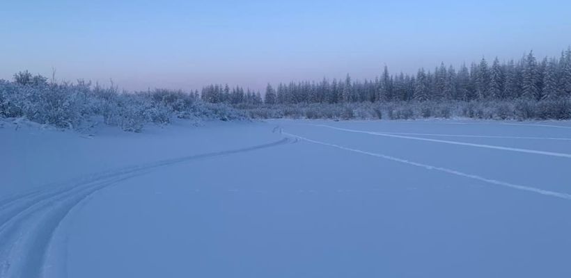 Спасатели нашли пострадавшего от укусов собаки в Нерюнгринском районе