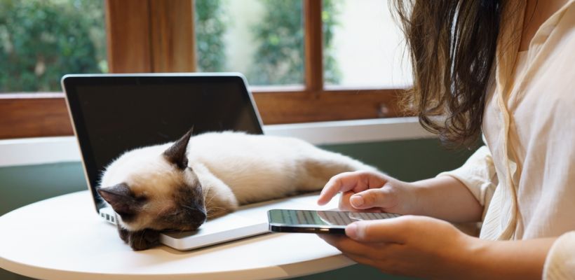 МТС запустила ИИ-ассистента ментальной поддержки для молодежи Якутии