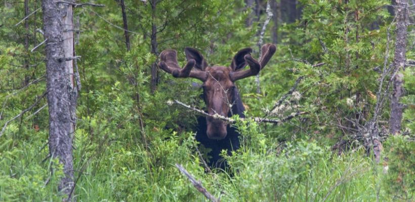 «Не дарите тепловизоры»: блогер обратилась к женщинам накануне 23 февраля