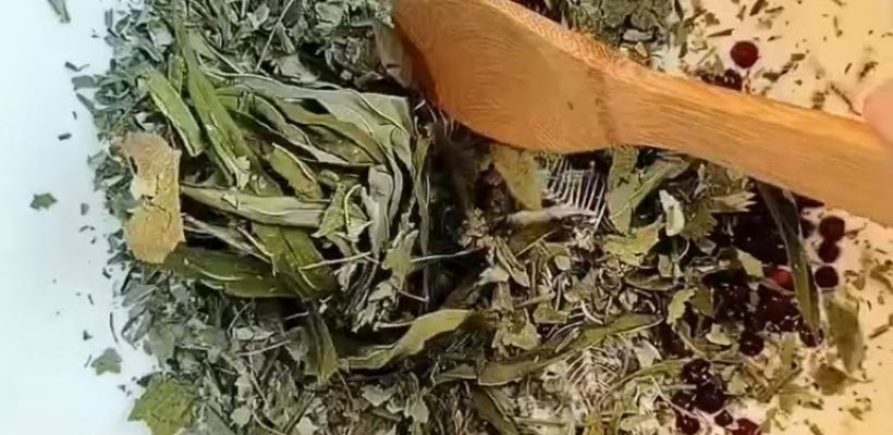 Якутянка решила воссоздать древний напиток тар по рецепту предков