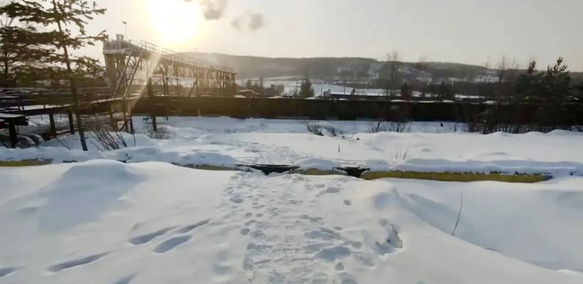 В Якутии мужчина погиб от укусов безнадзорных собак