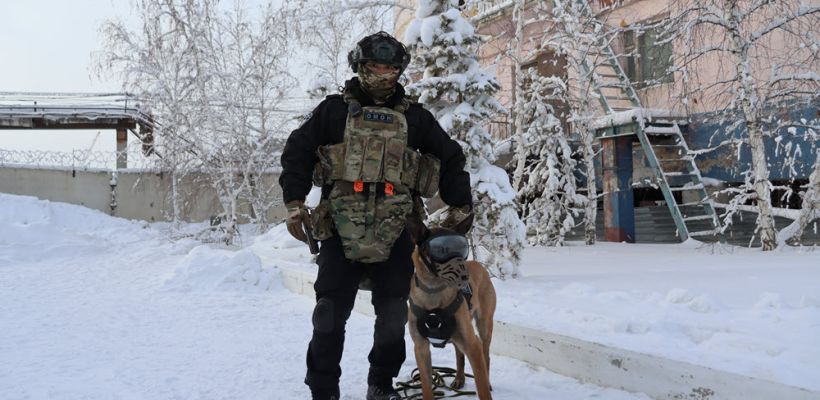 Овчарка Ястреб из Якутского ОМОН участвует в фотоконкурсе служебных собак Росгвардии