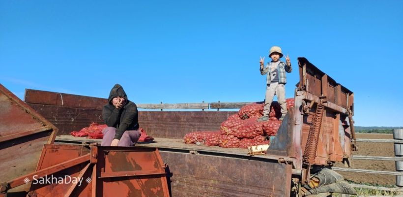 Продолжение истории девушки-фермера, которой конкурс разбил мечту обеспечить картошкой весь Таттинский улус