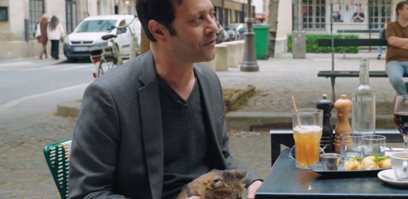 Как бездомный кот с колымской трассы оказался в Париже