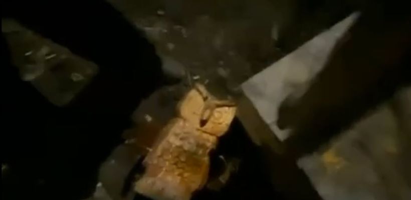 В мэрии Якутска осудили действия вандалов, разбивших сову знаний