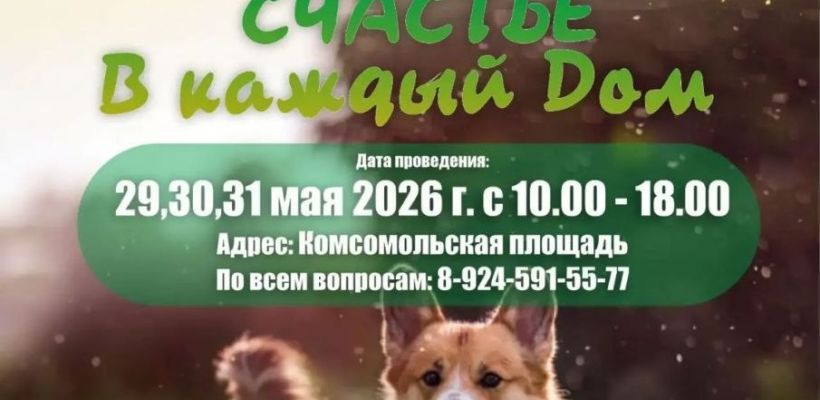 В Якутске пройдет ярмарка-пристройство бездомных животных «Счастье в каждый дом»