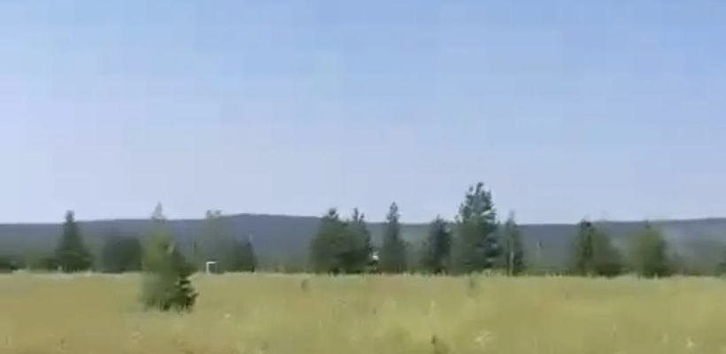 «Панорама» не продавала земельные участки в СНТ «Сатал»