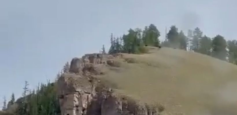 На "Ленских столбах" засняли семью медведей. Насколько там безопасно?
