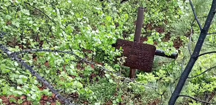 Мистика: вахтовики нашли могилу ребенка в глухой тайге