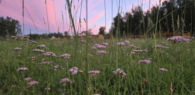 В эти дни в Амге воздух нагреется до +36С