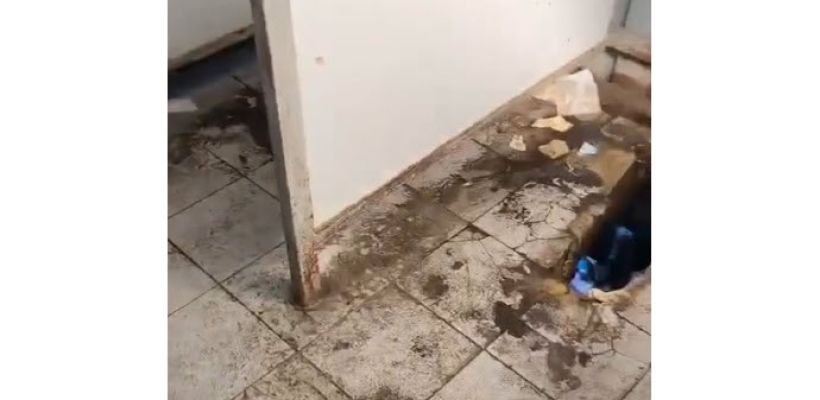 «Боимся отпускать детей в туалет»: родители пожаловались на антисанитарию в Центральном парке Якутска