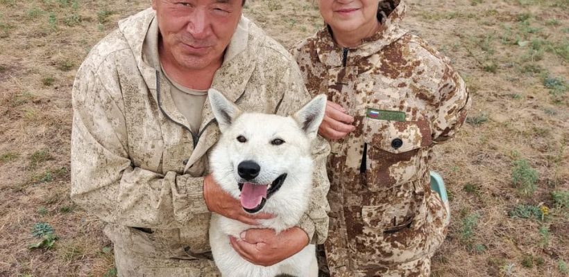 В Амгинском улусе пес Боотур спас хозяев от медведя