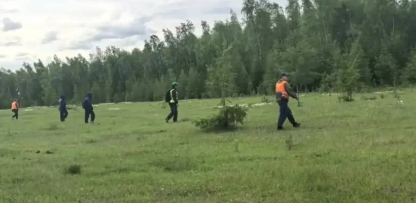 В Хангаласском улусе ведутся поиски пропавшей женщины