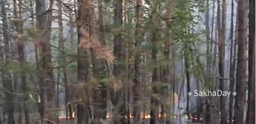 Ликвидирован лесной пожар недалеко от Якутска