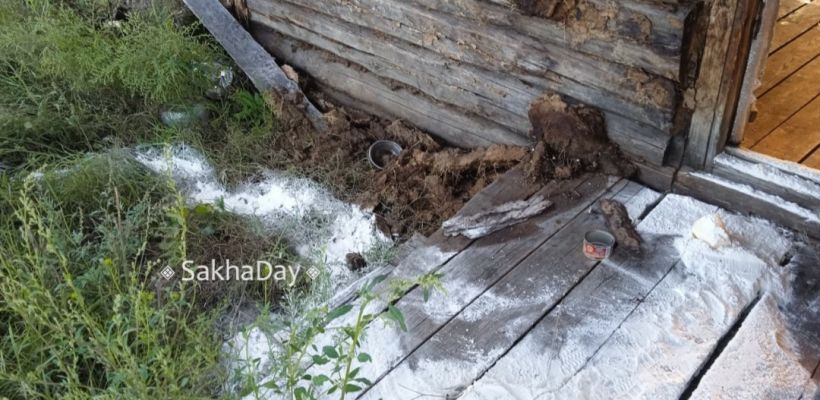 В Амгинском улусе медведь обокрал проповедника