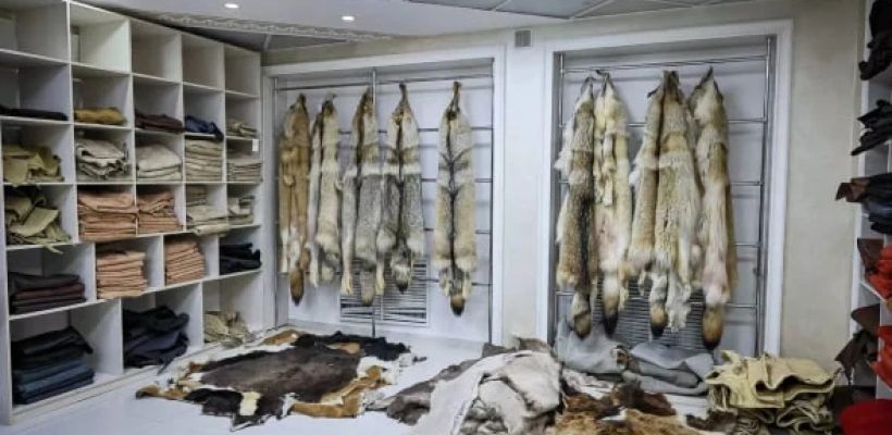 Прокуратура Якутии провела проверку в ФАПК «Сахабулт»