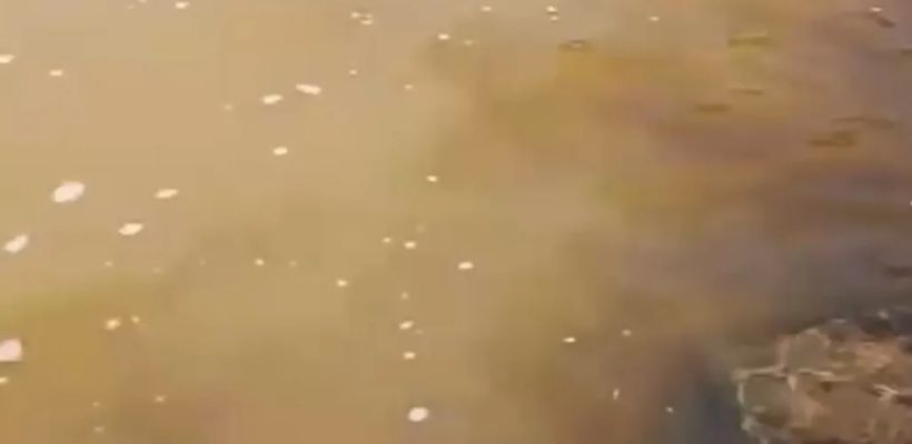Туроператор заявил о масштабном загрязнении рек на юге Якутии. Минэкологии только собирается на проверку