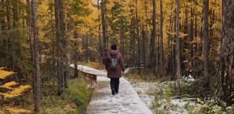 Туристы обнаружили медвежьи следы на экотропе «Ленских столбов»