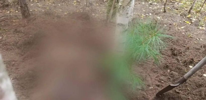 Тела двух женщин со следами нападения медведя нашли в Красноярском крае